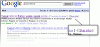 Google: Saltar intro en Flash